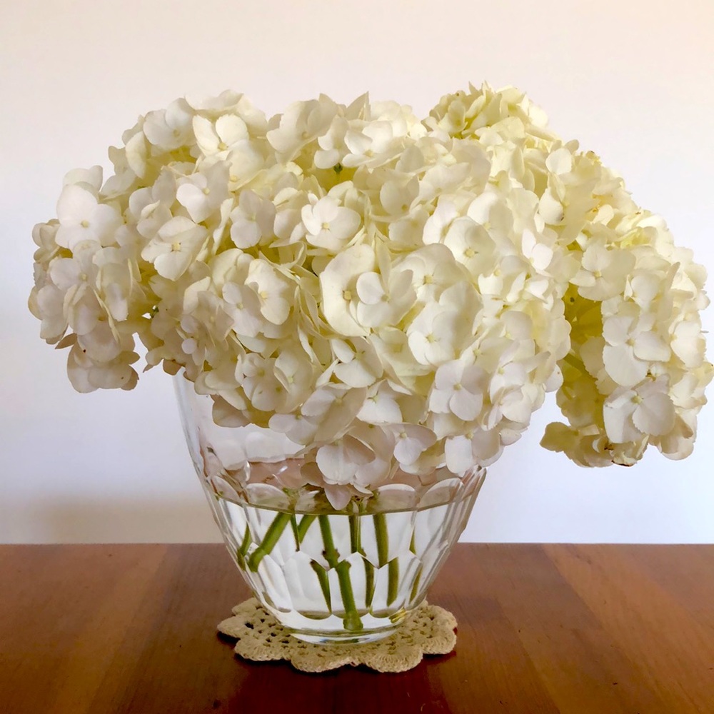 Vera Wang Flower Vase - as is
